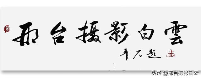 达活泉：公园披金衣，满目黄金柳（图）