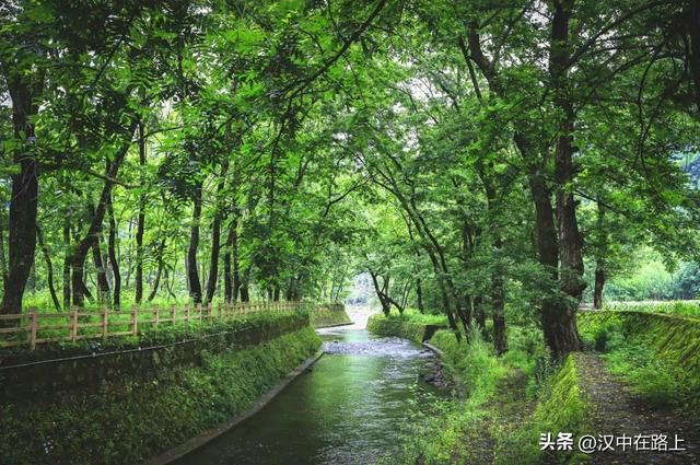 别把自己烤化了，赶紧去汉中黎坪享受22℃的清凉空调！