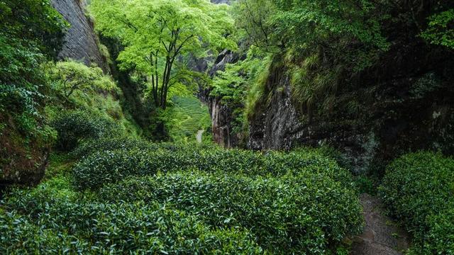 "十一"假期 | 国庆来武夷山，可以这样玩！
