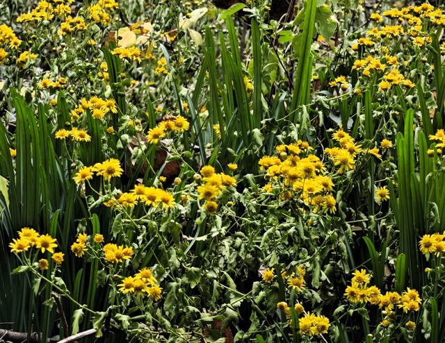 带4岁娃爬上海松江天马山，2小时轻松搞定，花费不到30元