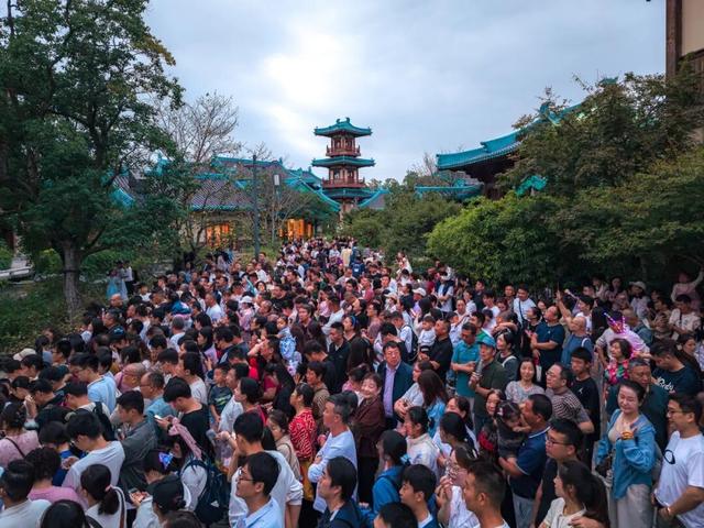 单日4300人次！金陵小城为何这么火？