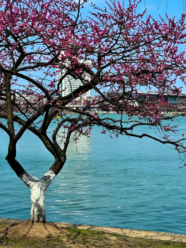 广州人逛了南京和扬州，直言不讳：南京和扬州人根本是两种活法！