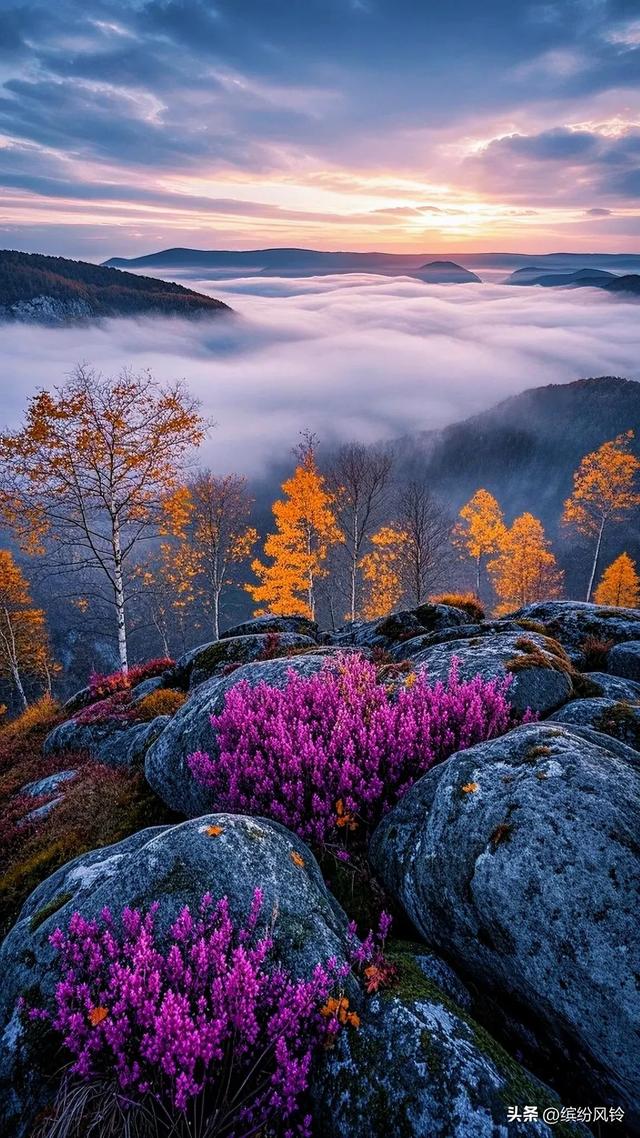 秋山泼彩如染，崖间枫红似火