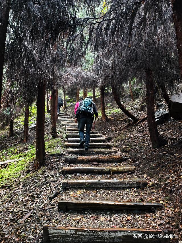 四川行(73)什邡红枫岭徒步到钟鼎寺