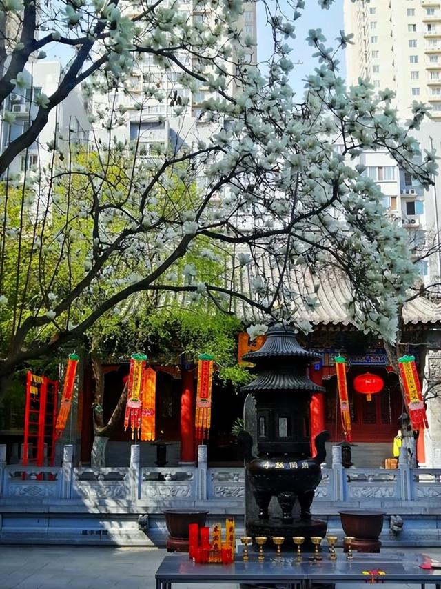 陕西最低调唐代古刹，藏在西安闹市却寂静千年，免费开放地铁直达