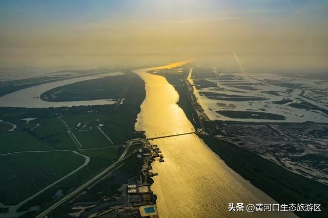 【黄河口生态旅游区】开学季 奔赴自然之美