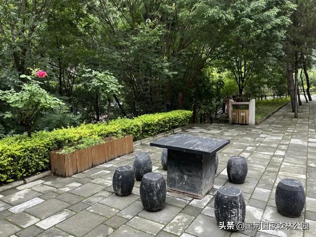 西安山美水美的清凉秘境！夏天来黑河避暑旅游太爽了！