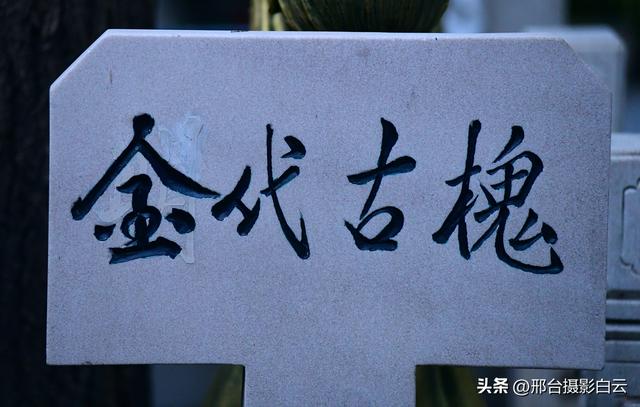 邢台火神庙：邂逅一场千年之约的绝美秋色（图/原创）