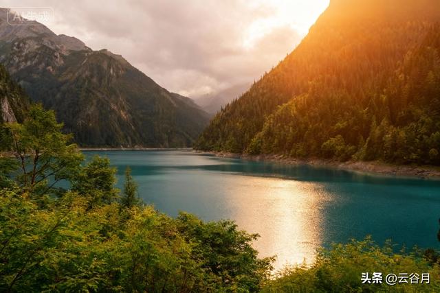 闺蜜的扎心真相：你对家庭伤的情，早晚会变成晚年的“账单”