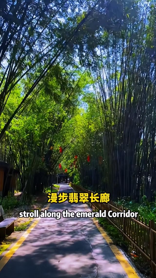 火了！肇庆大叔用英文推介家乡！厄瓜多尔网友：准备组团↘