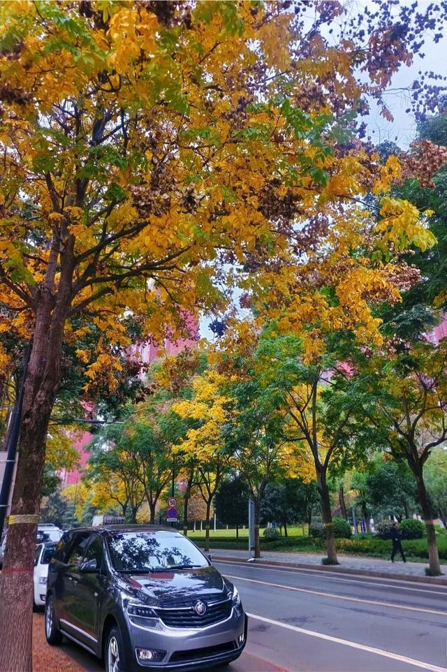 岁月始冬，一路向东。