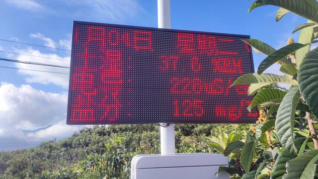 路过枇杷园，领略智能化