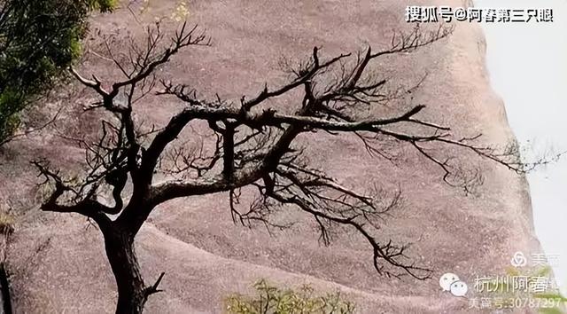 奇峻秀美 三清山