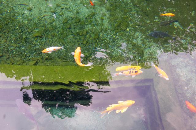 初秋的明水古城，古建筑与泉水交相辉映