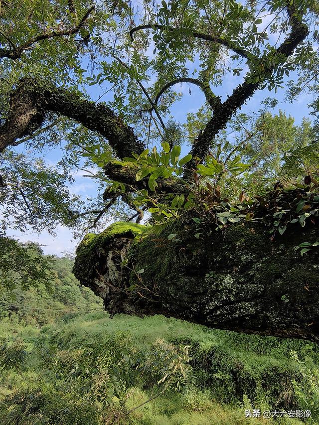 六安：丹桂飘香瓜果甜 山水美景等你来