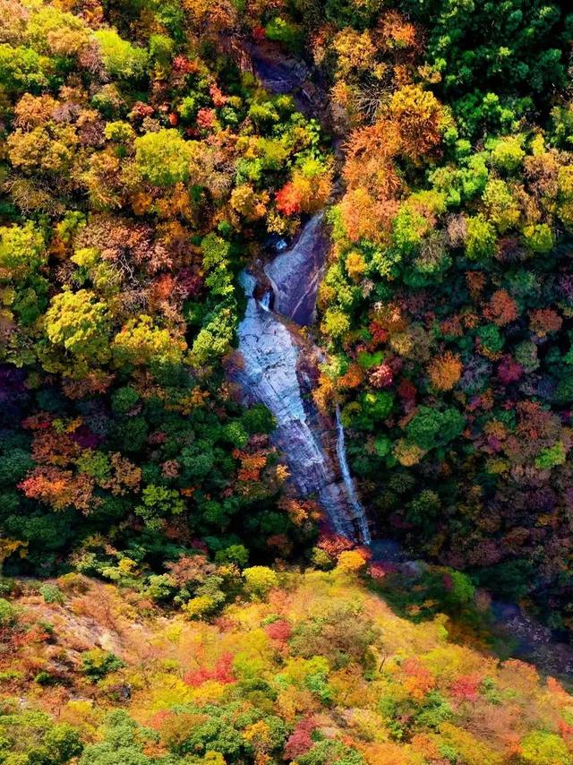 大山里的仙境，漫山红叶，斑斓如画，藏着中国最“英雄”的秋天！