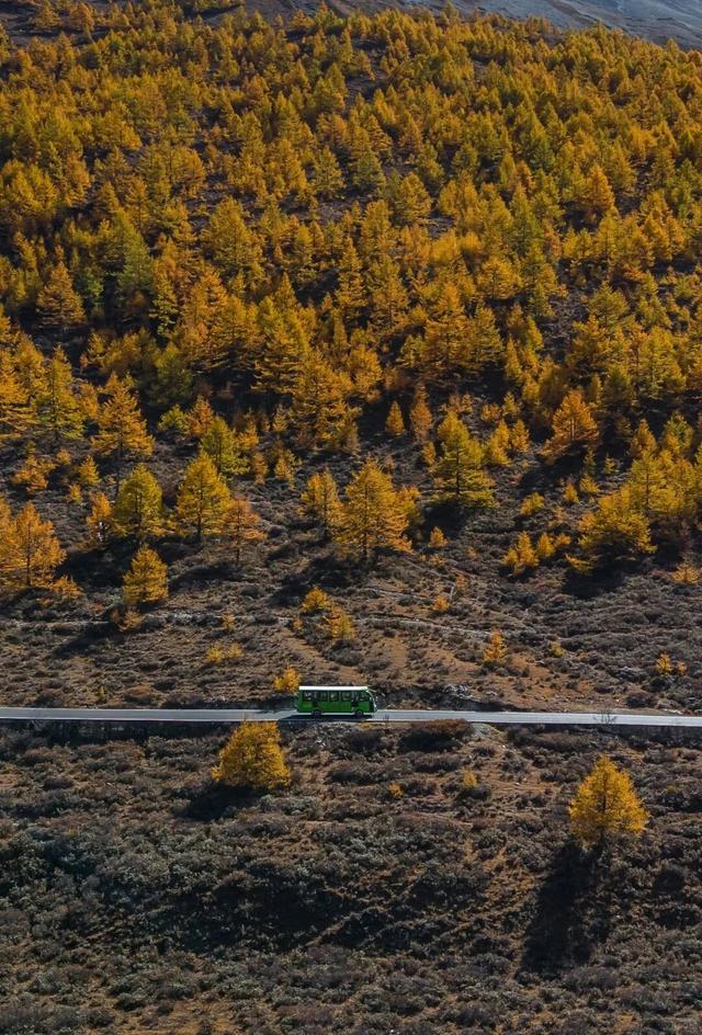 停停停！甘孜秋天美得太快了我看不过来