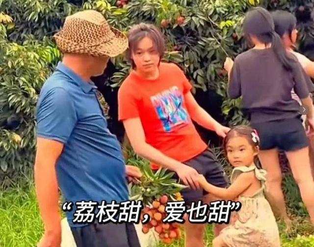 全红婵休养是假象？国家队秘密康复计划全解密