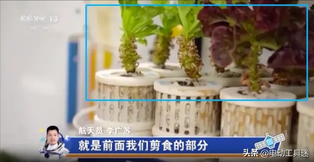 空间站菜园大丰收，生菜打包存储，升级种植设备后实现了吃菜自由