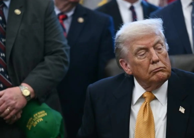 7国派兵格陵兰岛，英国派1人，特朗普一句话拆台	，让欧洲成了笑话