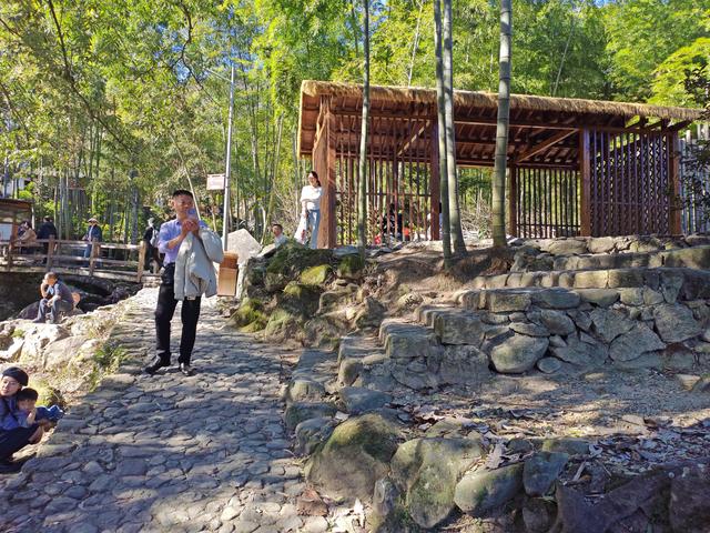 郁郁银杏无非般若，青青溪石尽是法身：宜春南惹古村印象（聂朋