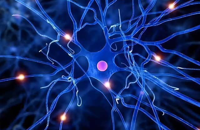 AI学大脑干活！南加大搞出“仿生神经元”单晶体管解困局