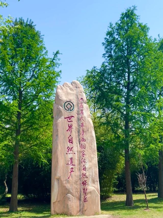 江苏7个AAAAA级景区大合集，去过3个算合格，你都去过几个？