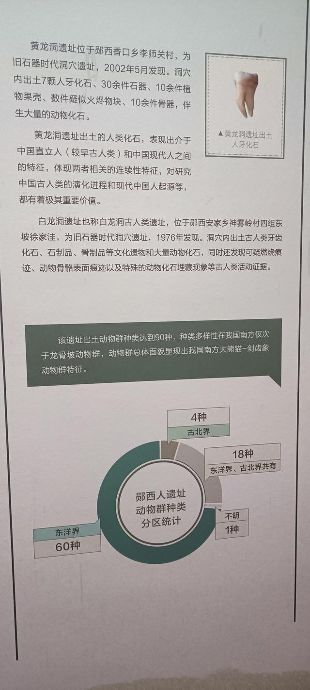 那么近，那么美，周末到商洛了——大美商洛秦岭博物馆