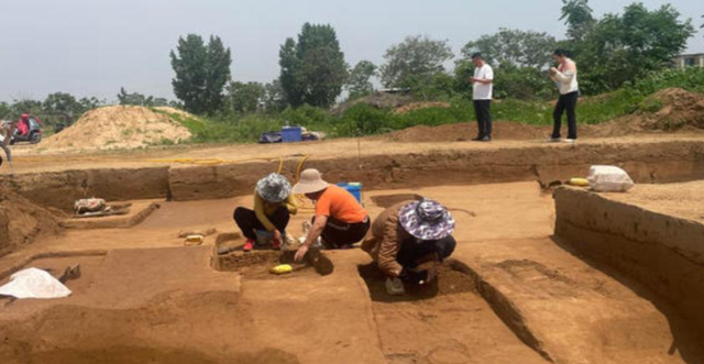 聚焦河南八里岗遗址，解码 58 例古人基因组，揪出 5000 年前文明线索