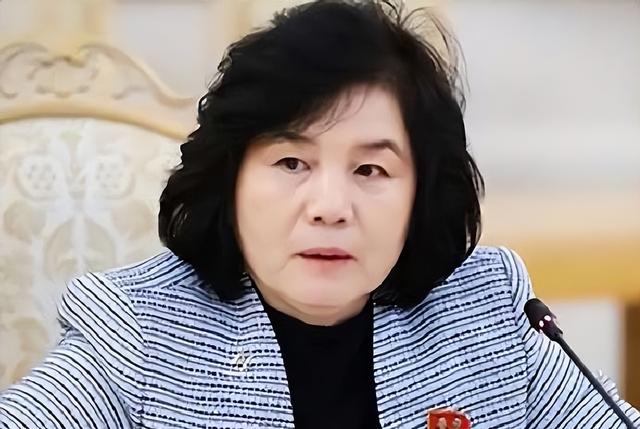 没白来中国一趟，金将军心腹来华，从王毅嘴里听到了最想听的话