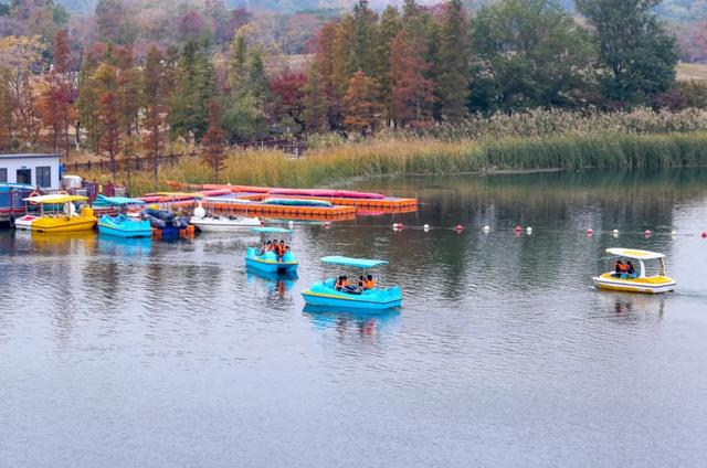 这样的张家港，我“All in”了！