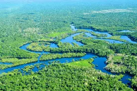 亚马逊河有多可怕，为何没有一座桥梁敢跨越它？还无人敢下水？图片