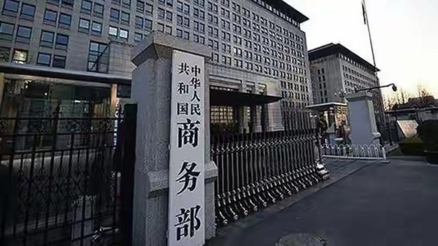 德国总理：断供安世芯片不可接受，中方必须明白，我们已忍无可忍