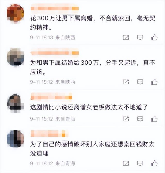女老板看上男下属 豪掷300万助其离婚