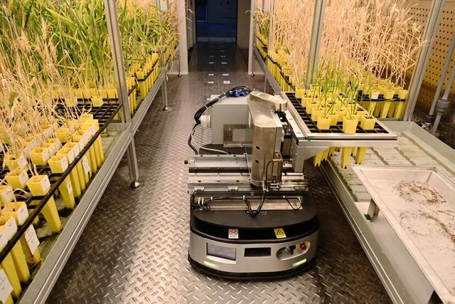 合肥科学岛团队发布两项重要成果！