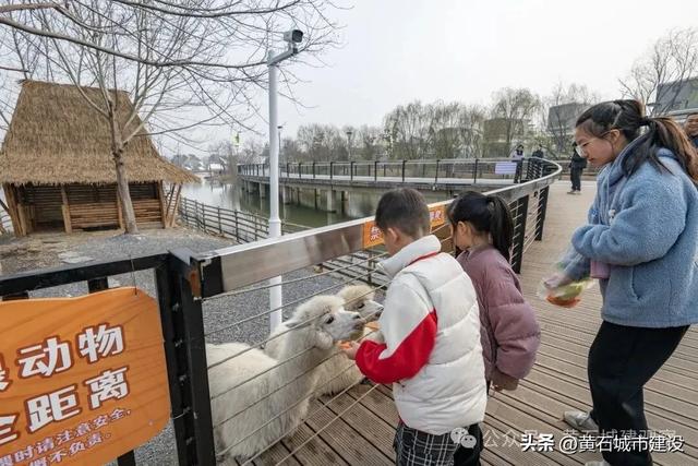 占地10万平方米！黄石新增一东南亚热带雨林主题营地