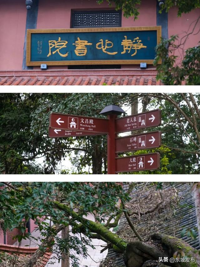 眉山⇋成都便民快巴7月18日发车→奔赴一场浪漫的双城记！