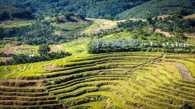 壮美五指山，我要给你五颗星