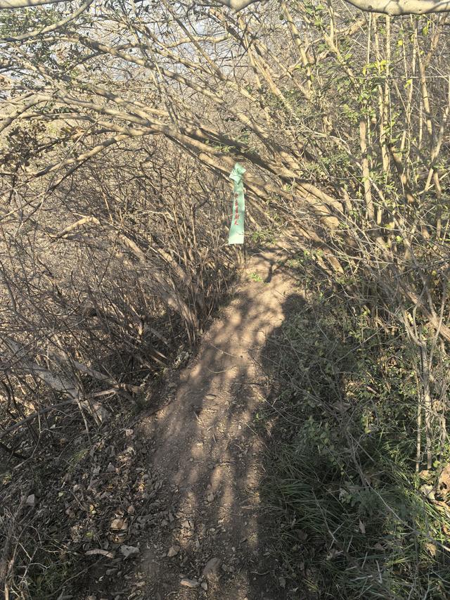 南京第二次到镇江武岐山空青山郊野徒步