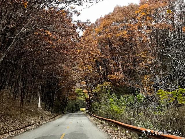 车过神农架【原创】作者：原铁十师陶玉和