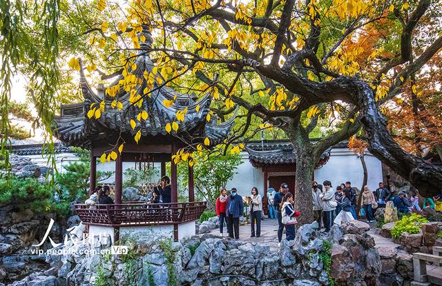 上海：豫园色彩斑斓迎客来