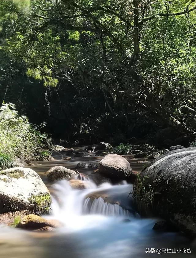 湖南屋脊打卡攻略|株洲酃峰游！