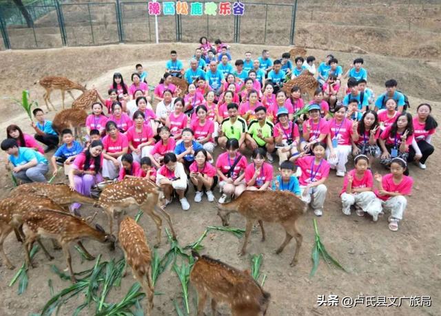 【文旅医养】百对双子竞激流，千宠萌动峡谷欢•豫西大峡谷第十八届全国双胞胎漂流大赛燃爆盛夏！