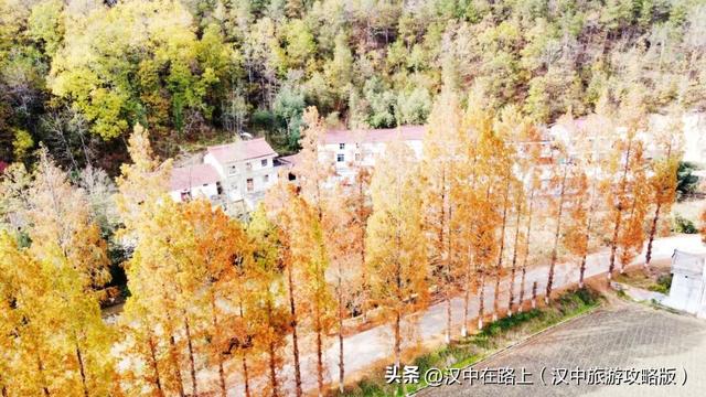 汉中洋西路自驾邂逅冬日限定美景！