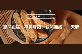 息风止痉，平抑肝阳，祛风通络——天麻图片