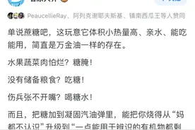 有个疑问，为什么糖是战略物资？图片