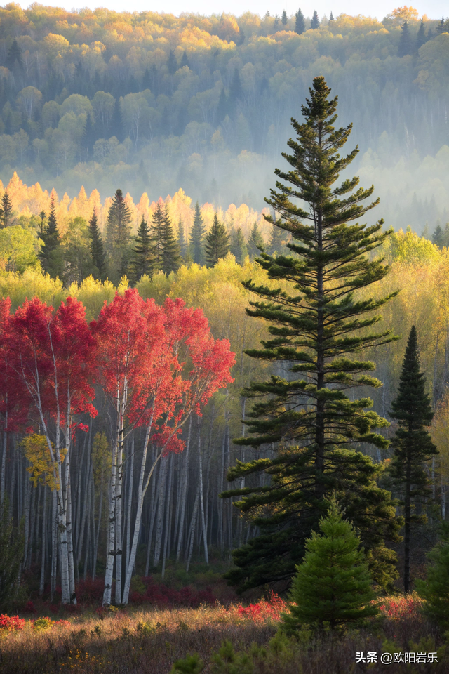 这才叫风景如画，太美了！