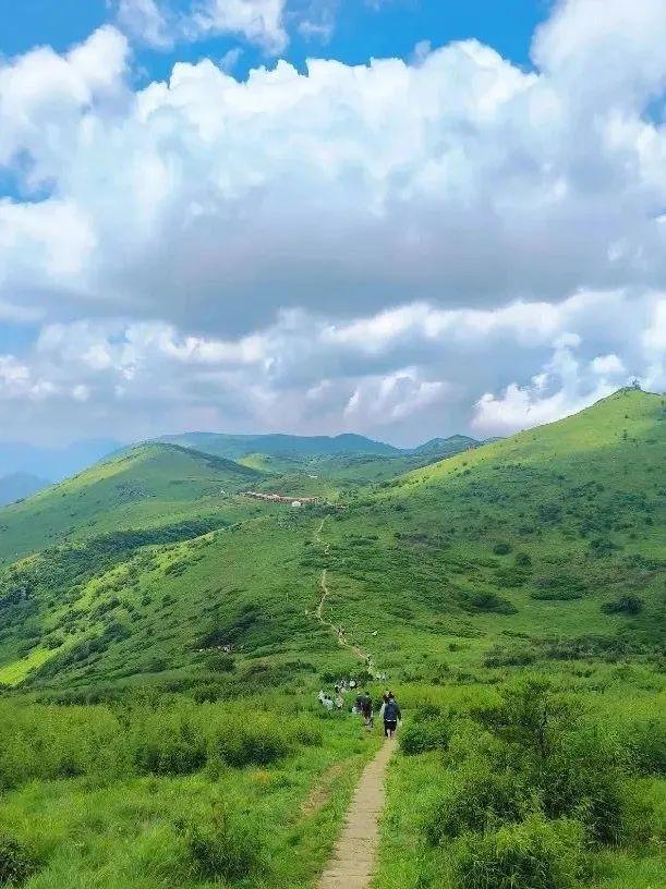 凉爽新大陆！成都出发高铁2.5h抵拢18℃的古韵之城，风景堪比阿勒泰，美食多到吃不完！