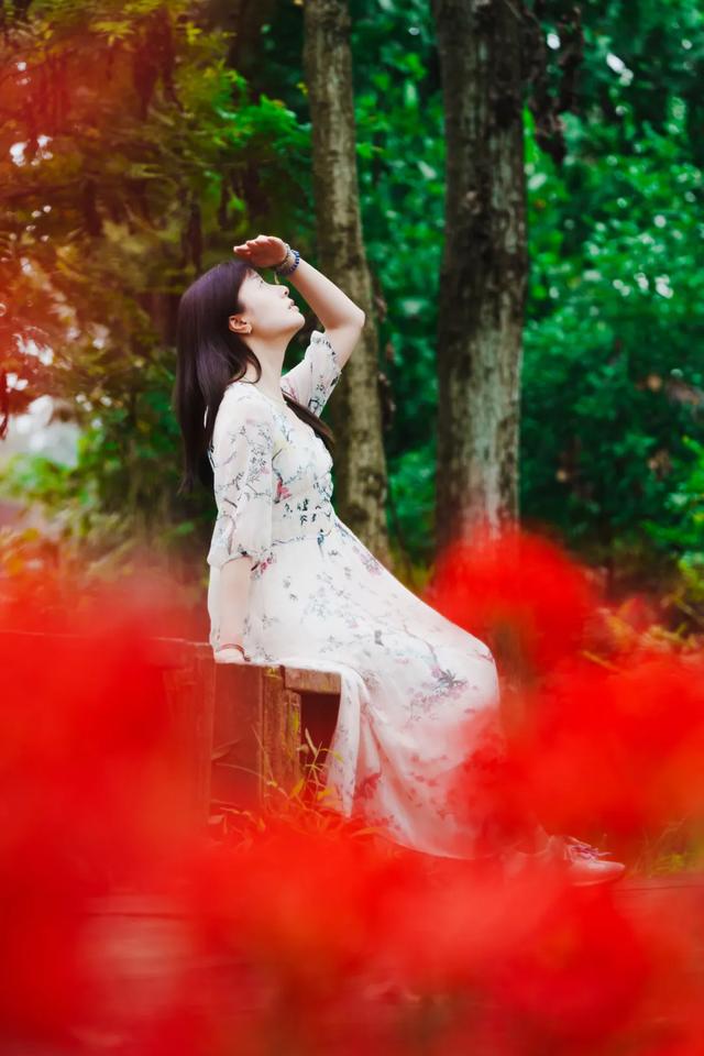 免费打卡！郫都这片彼岸花开得正盛！周末约起→