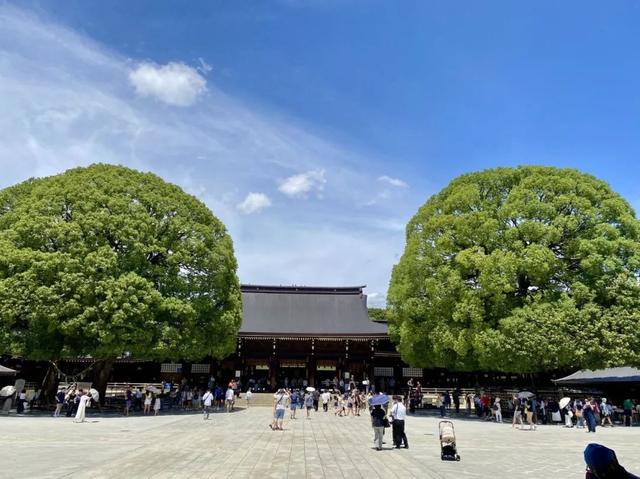 日本10天9晚自由行（1）：两个“J人”的旅游“P计划”